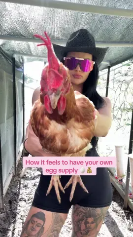 How it feels having your own egg supply 💁🏼‍♀️