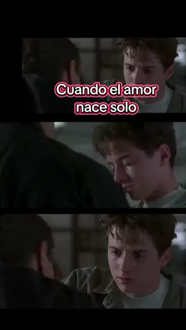 Película: Los Chicos de la calle( 1996 )