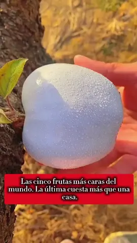 #eua #celebrity #Hollywood 