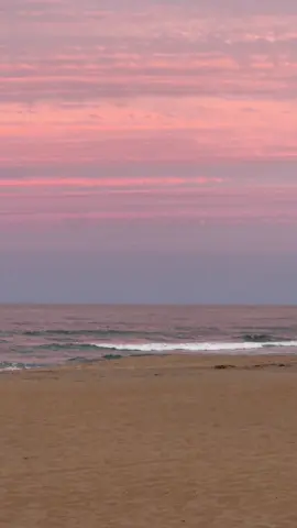 Last summer days 🥺 #Summer #fall #autumn #fyp