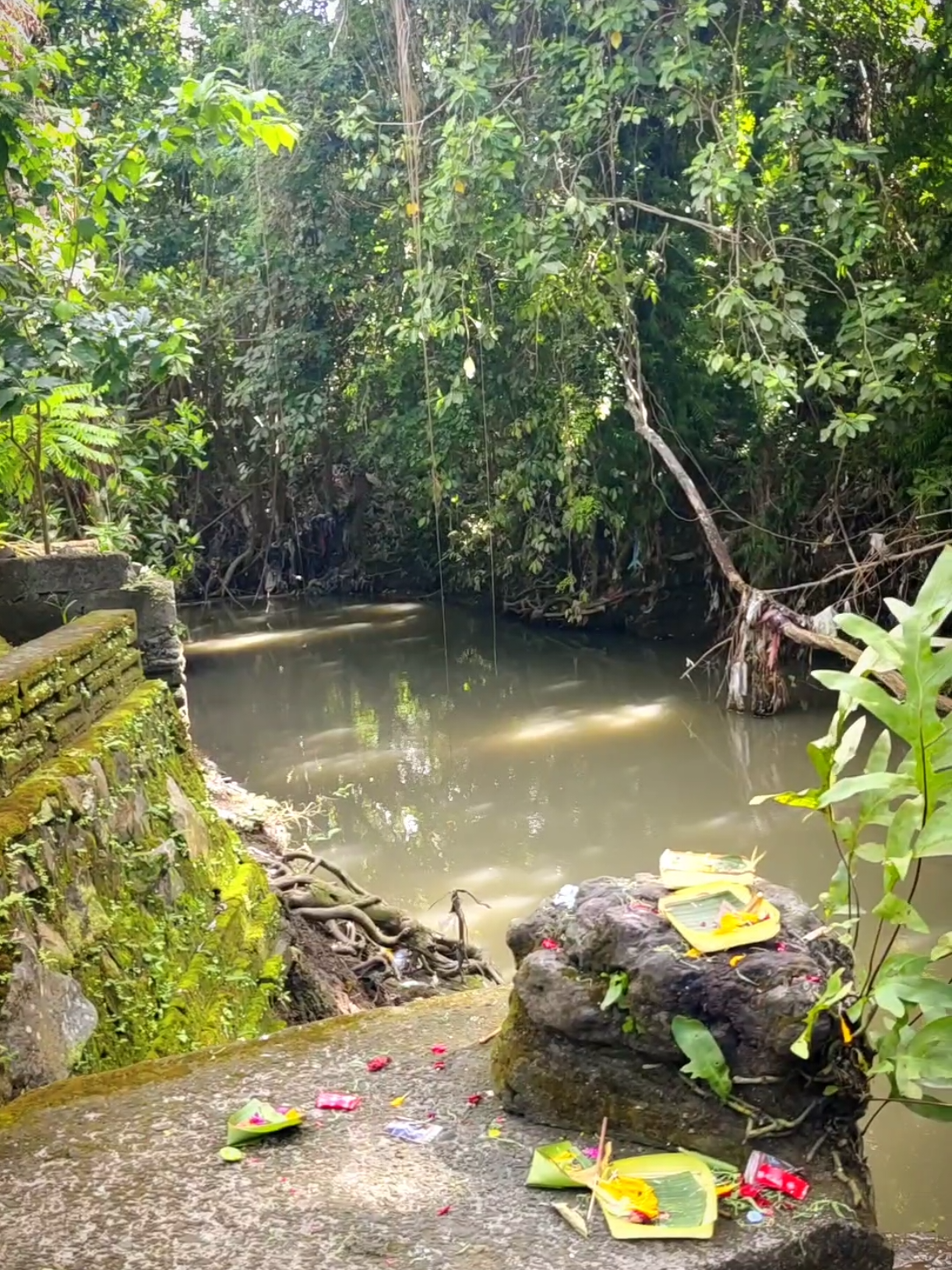 spot mancing di jalan pantai kedungu #mancingmania 