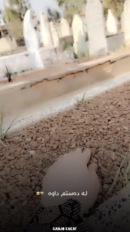 #foryoupage #foryou #دایک ئەوکەسەیەهەرگیزلەیادناکرێ💔😔