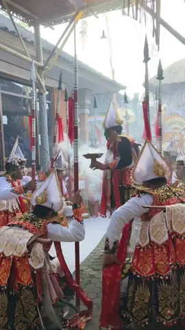 sanggar bima sakti ngayah wewalian baris gede ring griya cagan denkayu mengwi . . dumogi rahayu sejebag jagat #barisgede #denkayu #bimasaktijaya #xybca #foryou 