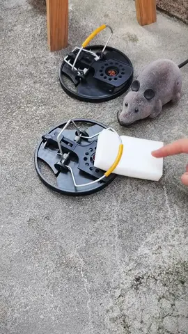 Bẫy chuột lò xo kép siêu nhạy #xuhuong #dodungtienich 