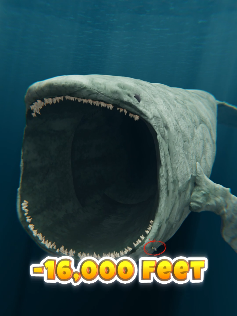 Deep sea creatures are found Great White Shark Vs Hydra Vs El Gran Maja #memes #shorts 