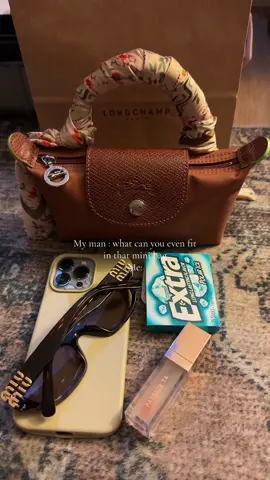 Like duh #minilongchamp #longchamp #mini #fyp #bag 