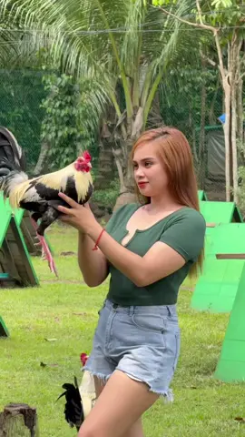 Patingin naman ng grey nyo mga idol👇🥰.    #fyp #fypシ゚ #trending #viral #sabongera 