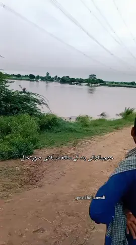 خوجیانوالی بند کے ساتھ سیلابی صورتحال ۔ #apnakhojianwali 