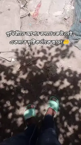 পৃথিবীতে আপন বলতে কেউ নেই একমাত্র সৃষ্টিকর্তাকে ছাড়া 🤲❤️