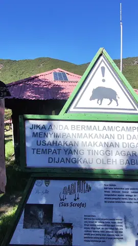 Kasih tunjuk ke temen kalian yang suka nyolong makanan #papandayan #gunungpapandayan #babihutan 