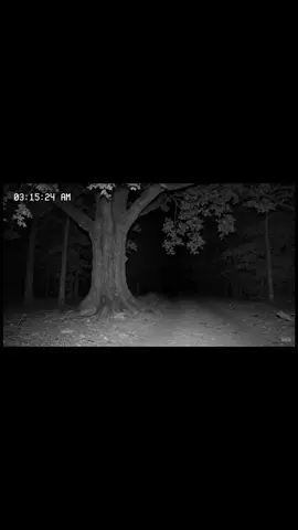 Mysterious Flash Caught on Night Vision Camera | 3:15 AM Forest Surveillance #NightVision #SurveillanceFootage #CCTV #CaughtOnCamera #ParanormalActivity #ForestCamera #SecurityFootage #NightWatch #Unexplained #3AM