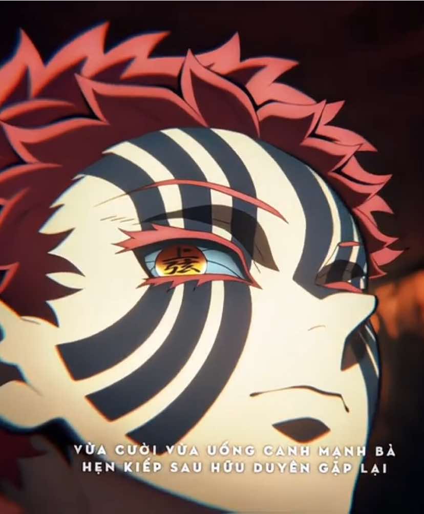 野草的世界为何总记得一朵花 