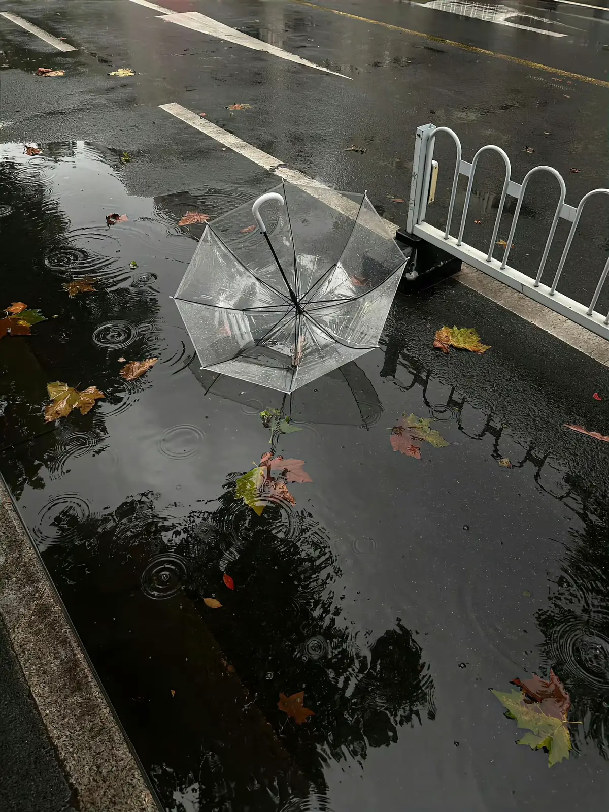 🌧️🍂✨#xuhuong #hinhnen #rain #sad #sadstory 