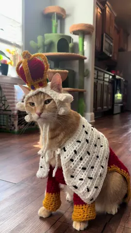 You’ll be back… with more treats 🎶  Any request for Hamitails next number? #hamilton #catsoftiktok #king  #fyp #song 