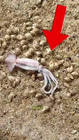 You've probably scrolled past a million videos today, but I guarantee you haven't seen anything like this. This rare footage is a glimpse into a moment so incredible, it feels fake. Seriously, get ready to question everything you thought you knew. Source: Rarest Tom  #fyp #unbelievable #mindblown #rarevideo #DidYouKnow 