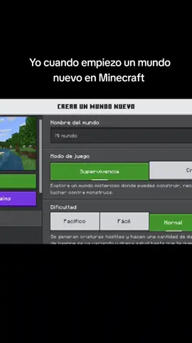 Así mismo #mimundodeminecraft #Minecraft #fyp #minecraftamigos #bedrock 