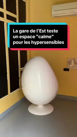 Un nouvel espace calme à destination des personnes autistes et hypersensibles face au bruit a ouvert à Paris, à la gare de l’Est. Actuellement en phase de test, l’espace pourrait être généralisé dans les grandes gares françaises.  #sinformersurtiktok #afp  🎥💻 Rhaïs Koko 🎵 Audio Network