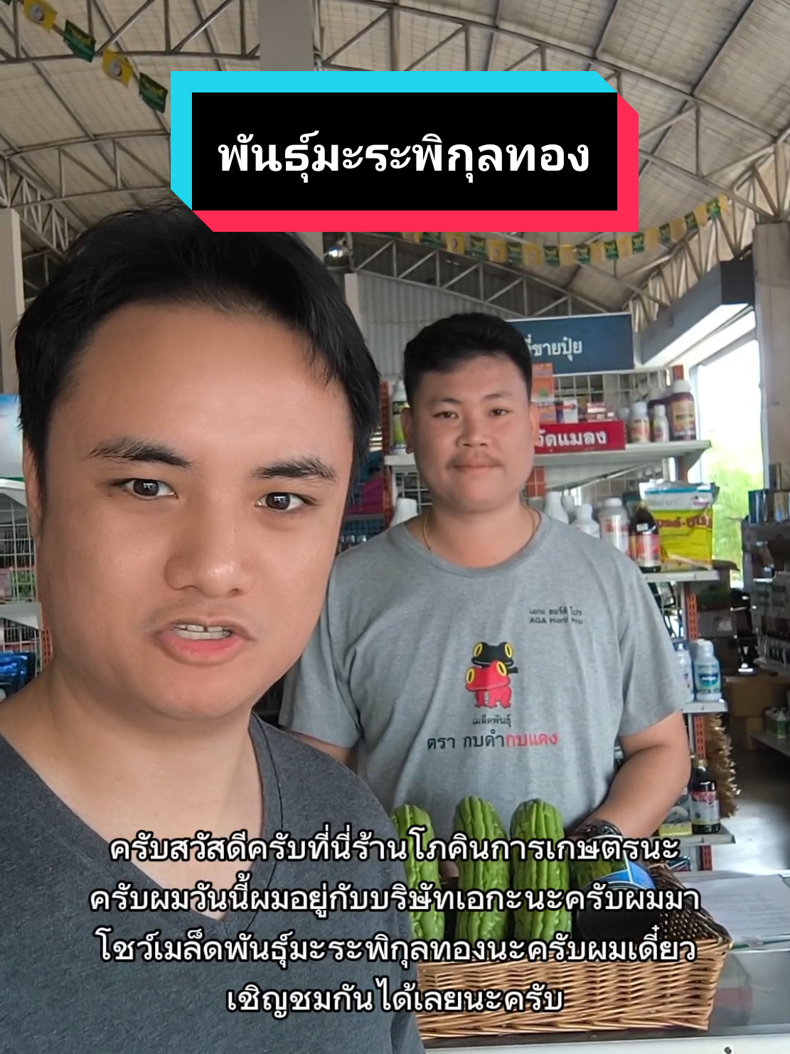 เมล็ดพันธุ์มะระพิกุลทอง พันธุ์มะระจีนน้องใหม่มาแรงในปี 2568 ครับ #มะระ #ปลูกมะระจีน  #มะระจีน #พิกุลทอง #โภคินการเกษตร 