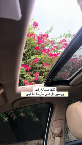 #fyp #مالي_خلق_احط_هاشتاقات #مطر #زهي 