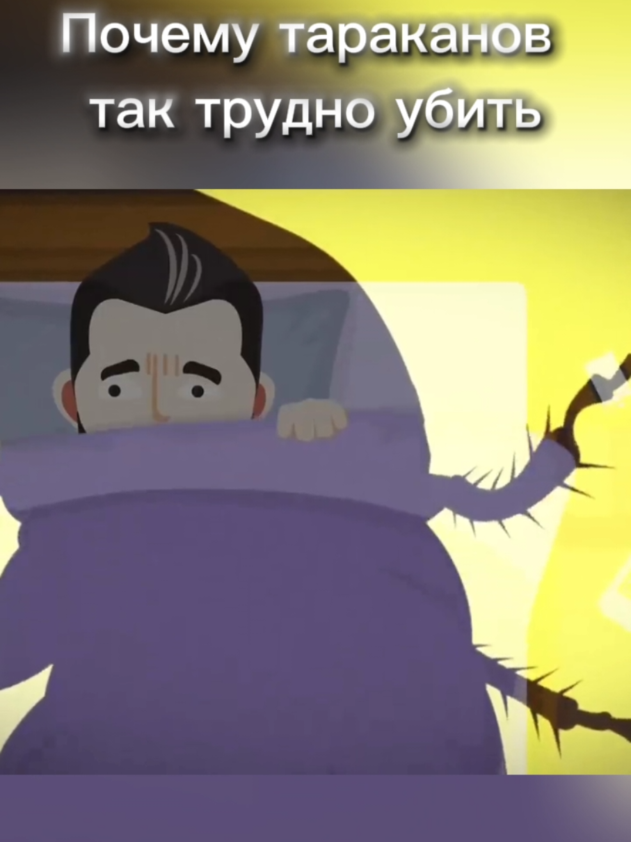 Почему тараканов  так трудно убить #природа #тараканы #рек #ant 