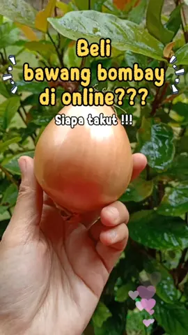 #bawangbombay #bawangbombaymurah #affiliate #fypシ゚ 