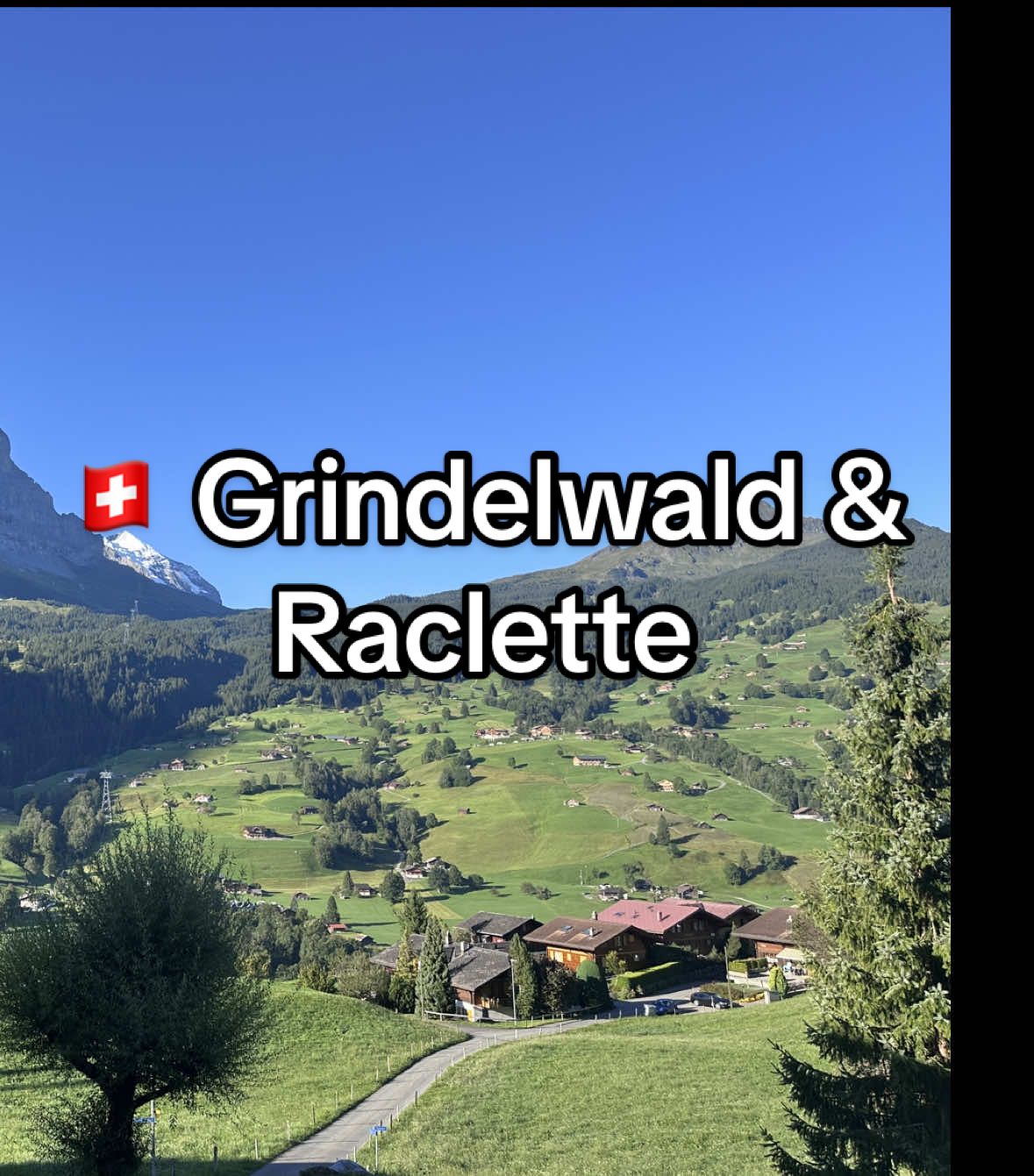 Warning: this video may cause serious cheese cravings 😋🧀       #raclette #grindelwald #switzerland #travel #fyp @Laurentiu Paulescu  