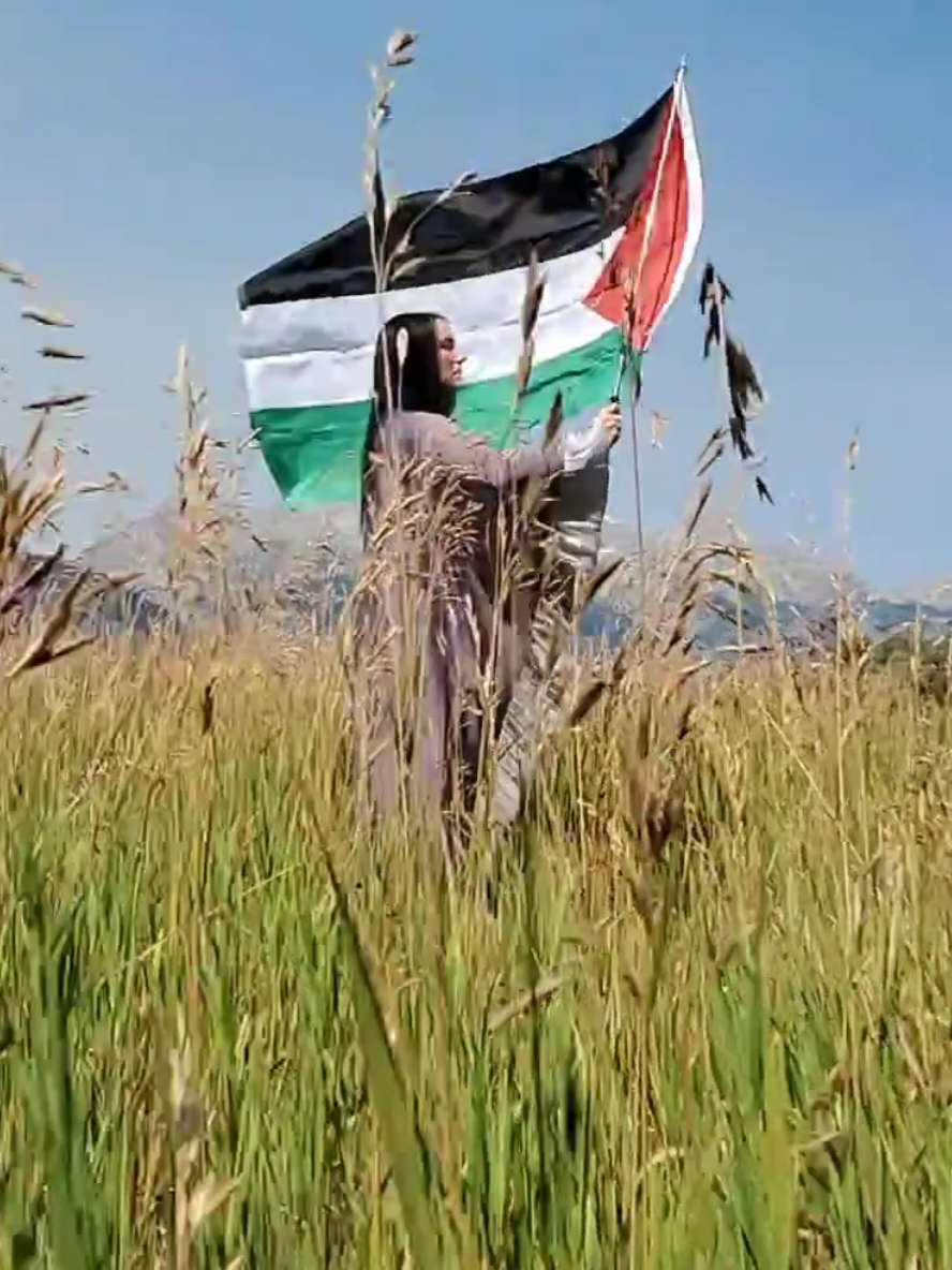 We didn't use our drone as they are not allowed to be flown in Grand Teton National Park as to not disturb visitors and wildlife, while in Gaza the IOF uses drones to stalk and murder every Palestinian man, woman, and child. We should all be disturbed.  #grandtetons #🇵🇸 #travel #palestine #nationalpark @M0NSTER_Ron 🇵🇸🇵🇭 @🔻Ronnie Whitaker 2.0🔻 @tiktoktowatchstuff @zeyne | زين 