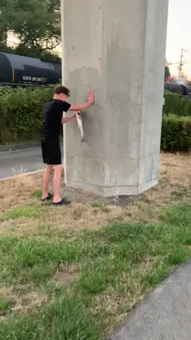 Let a man love his pink @Jake👀 #pinksalmon #bc #fyp #fishing #salmon 