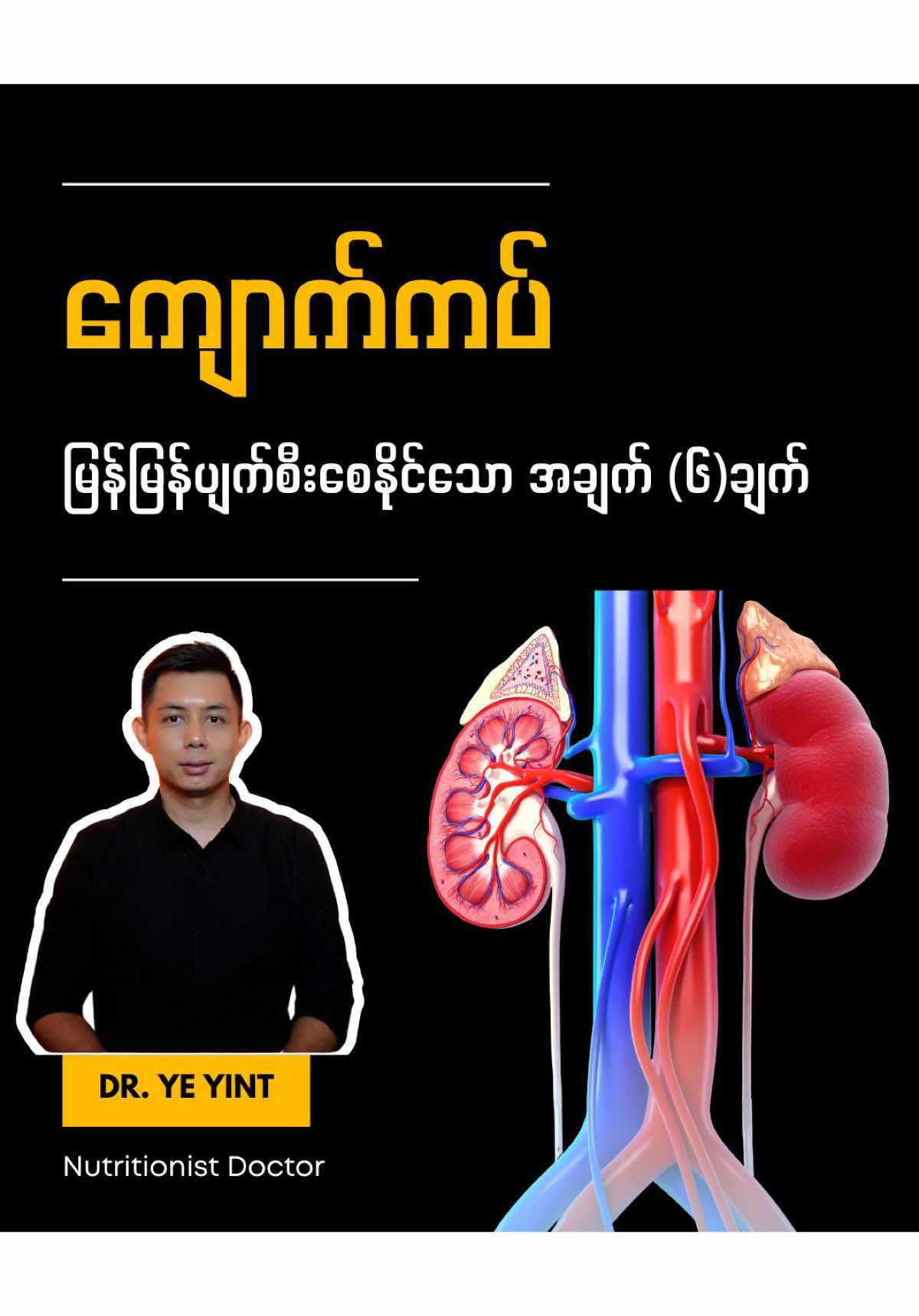 ကျောက်ကပ်မြန်မြန်ပျက်စီးစေနိုင်တဲ့ အချက် (၆) ချက် #dryeyint #nutrition 