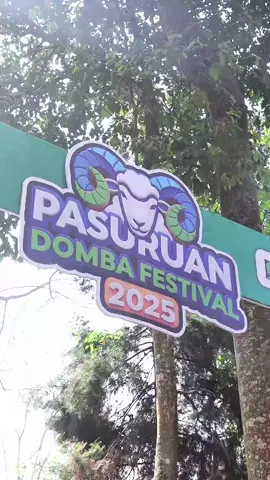 Festival Domba Pasuruan 2025, Ajang Kontes Domba Terbaik dari Berbagai Daerah TRIBUNJATIMTIMUR.COM, PASURUAN - Festival Domba Kelas Terbuka, digelar untuk pertama kalinya di Wanawisata Hutan Cempaka, Desa Dayurejo, Kecamatan Prigen, Kabupaten Pasuruan, Jawa Timur, Minggu (10/8/2025).  Hutan Cempaka Pasuruan, merupakan salah satu wanawisata alam di dalam area hutan pinus seluas 2 hektar, dengan ketinggian 850 mdpl di lereng Gunung Arjuna dan Ringgit.  Festival ini digelar Himpunan Peternak Domba Kambing Indonesia (HPDKI), yang merupakan forum organisasi para peternak domba kambing di Indonesia.  Ratusan peternak dari berbagai daerah di Indonesia memamerkan domba unggulan. Festival ini berhadiah total Rp 16 juta. Bahkan seekor domba juara laku terjual Rp 32 juta di lokasi. Ratusan peternak dari berbagai wilayah di Indonesia hadir, memamerkan domba-domba unggulan hasil budidaya mereka.  “Tahun depan harus kita rencanakan lebih meriah, dengan hadiah yang lebih banyak dan kategori lomba yang lebih beragam,” ujar Bupati Pasuruan, @rusdi.sutejo saat membuka acara. Mas Rusdi, sapaan akrab Bupati Pasuruan, mengatakan festival ini tidak hanya menjadi hiburan, tetapi juga membawa manfaat ekonomi. Beternak domba, menurutnya, adalah usaha yang mudah, menguntungkan, dan dapat mendukung ketahanan pangan nasional. “Kompetisi ini harus bisa menarik minat masyarakat untuk berternak. Apalagi Kabupaten Pasuruan termasuk daerah dengan populasi peternakan besar di Jawa Timur,” tambah politisi Gerindra tersebut. Kepala Dinas Peternakan dan Kesehatan Hewan Kabupaten Pasuruan, drh. Ainur Alfiyah, menjelaskan tujuan utama festival ini adalah memotivasi peternak untuk menghasilkan bibit berkualitas. Saat ini, Kabupaten Pasuruan tercatat memiliki populasi domba mencapai 65.503 ekor. “Kompetisi ini juga menjadi ajang promosi bibit ternak unggul dan meningkatkan nilai jual hewan ternak,” ungkapnya. Lebih dari 160 peserta berkompetisi dalam dua kategori utama. Pertama domba Non Crossing/Non Impor, meliputi kelas Non Poel, Poel 1–2, dan Poel 3–4 untuk jantan dan betina. Domba 