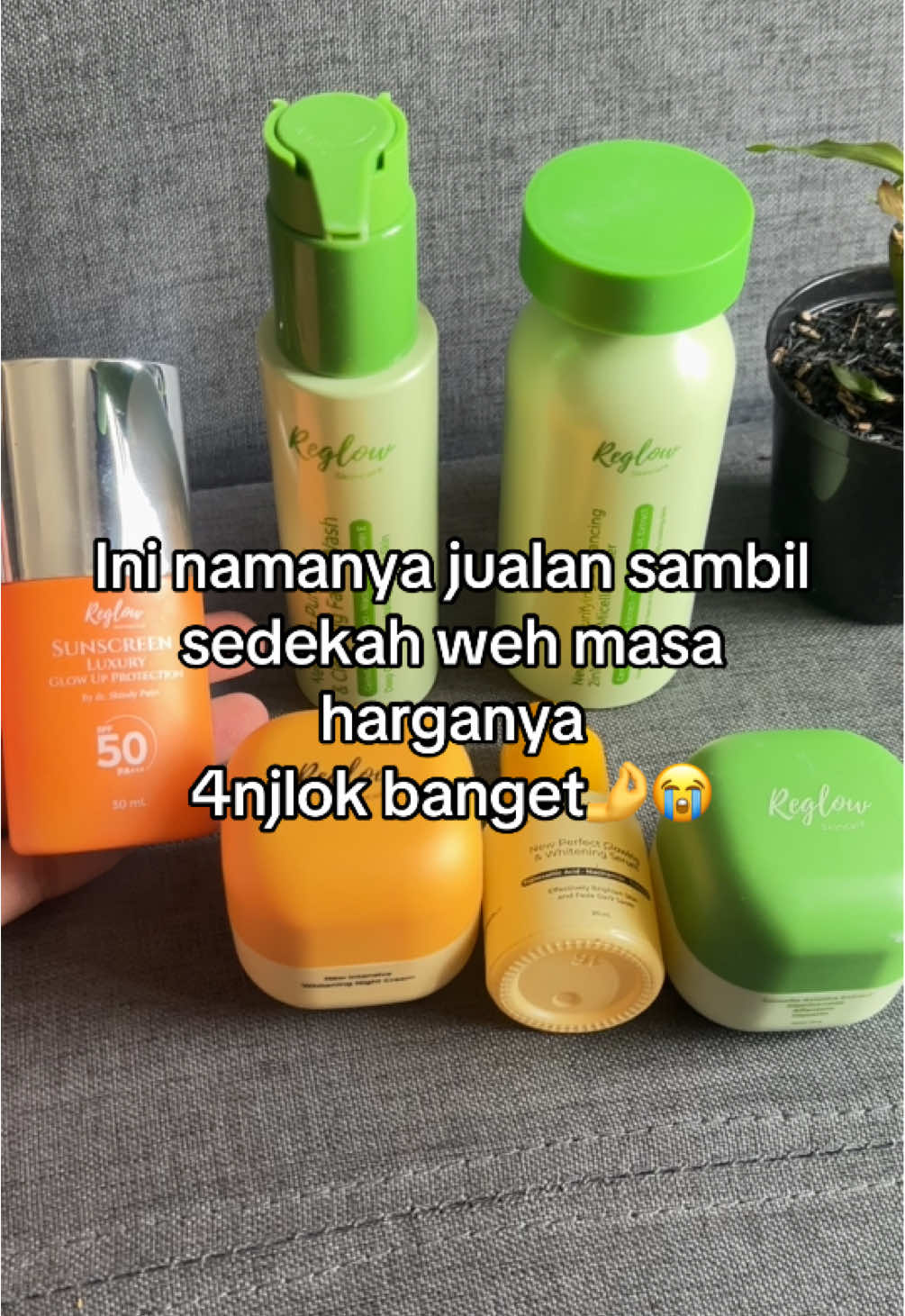 Hoki banget yg cekout paket reglow hari ini😭 #reglow #reglowbydrshindy 