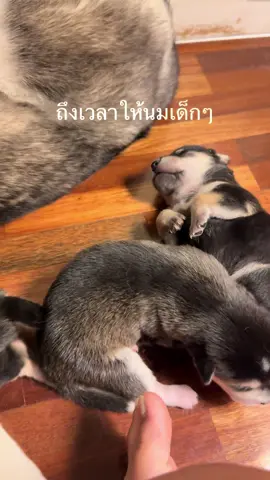 กูเหนื่อยยย