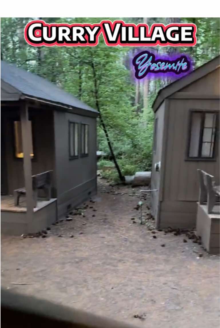 Respuesta a @letty7370 Los Baños  🚻 de Curry Village están en la parte de afuera y son compartidos con las personas que se hospedan ahí.  Curry Village. Tents & Cabins. Yosemite National Park, California.  Answer & Question. Travel tips. Place to visit.  #viajando_ala_naturaleza #yosemitenationalpark #curryvillage #cabin #camping 