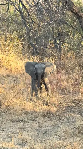 I’m so brave…..wait mommy are you there? OK good I will charge again. 