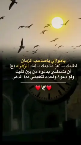 #السلام_عليك_ياصاحب_الزمان#يامولاي_ياصاحب_الزمان_#اللهم_عجل_لوليك_الفرج#🤲🏻 