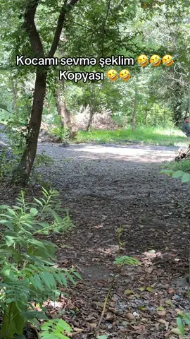 #keşfetazerbaijan #viraltiktok #azerbaijan #fypシ゚viral 