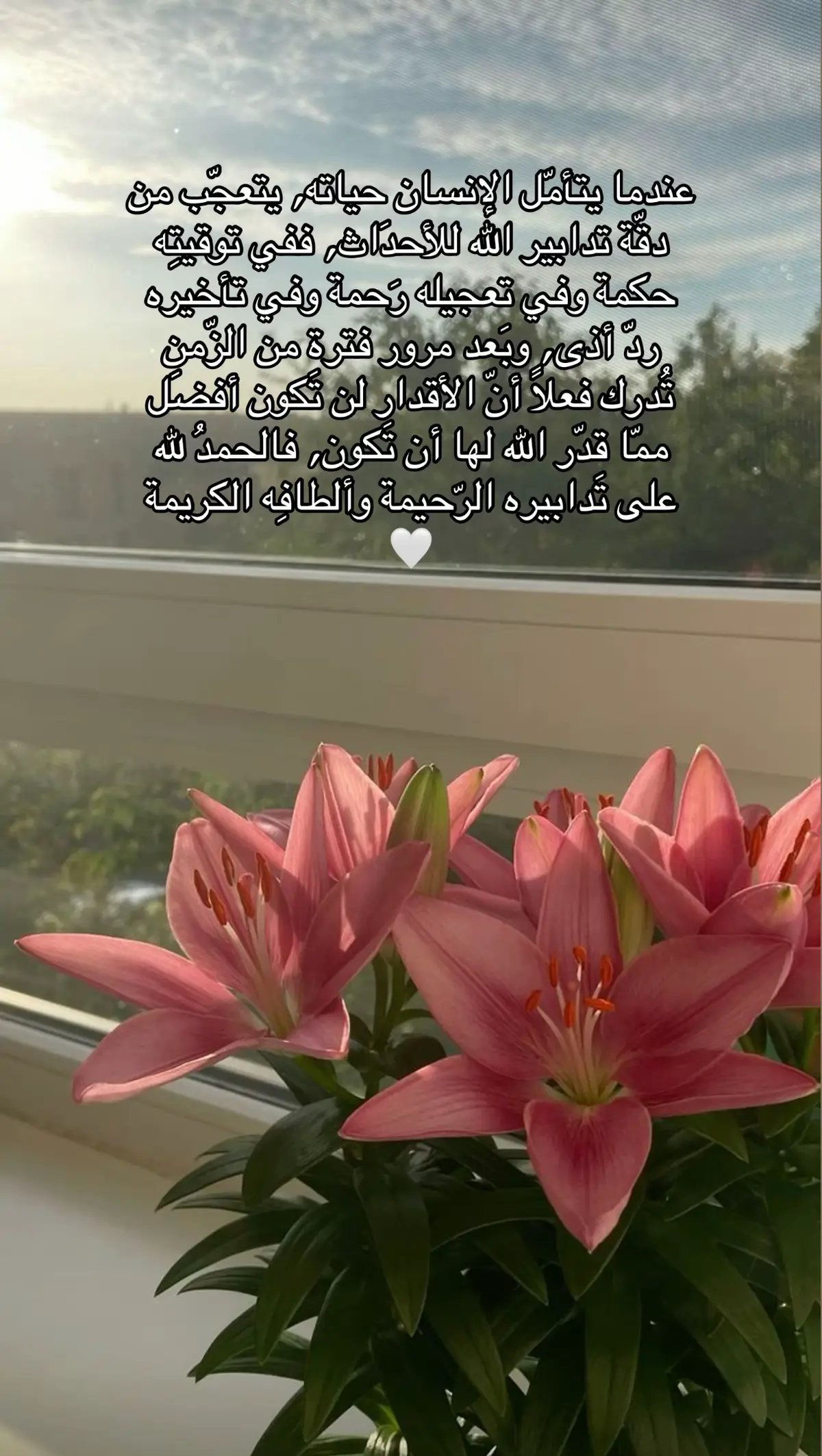 #الحمدلله_دائماً_وابداً #اكسبلورexplore #fpyシ #foryou #الشعب_الصيني_ماله_حل😂😂 