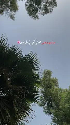 🥹🤌🏻|#fyp #unfrezzmyaccount #viral 