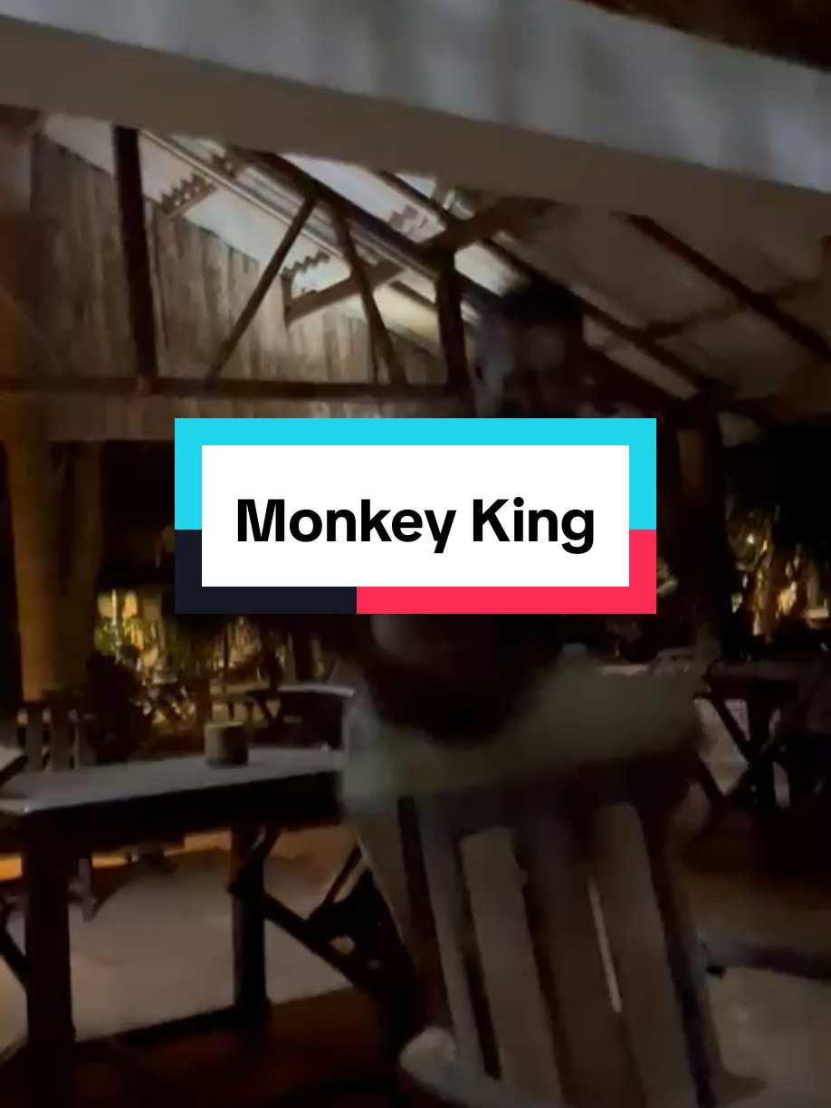 #crazydancemoves  #crazydance 