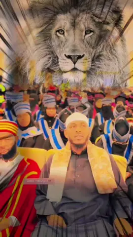 #الشيخ_العلامة_عبدالله_حسن_حاشي_البربراوي