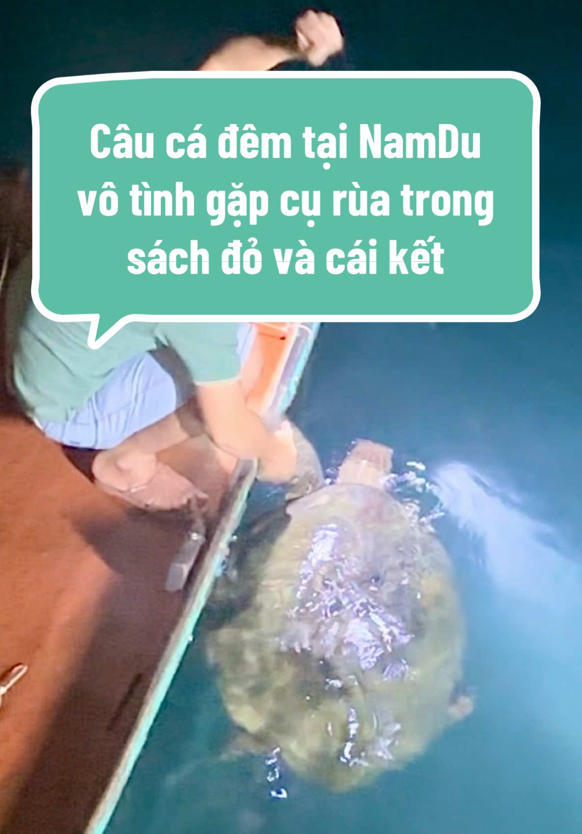 Mình đi trải nghiệm du lịch và câu cá tại Nam Du vô tình câu dính cụ rùa này, hữu duyên thả cụ về tự nhiên. Mọi người có nhu cầu về du lịch câu cá trại nghiệm tại quần đảo NamDu liên hệ với em @Tùng Nam Du #cauca #lurefishing #namdu #ruabien🐢_team #caucagiaitri #baotondongvat #xuhuong 