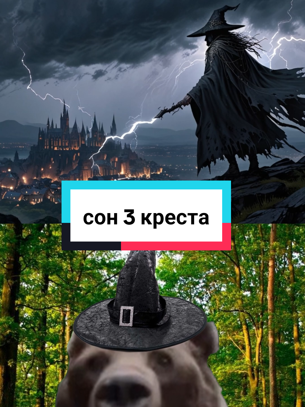 #давг #давгоносик #твич #стрим #твич #история #медведь #dawg #роблокс #брейнрот 