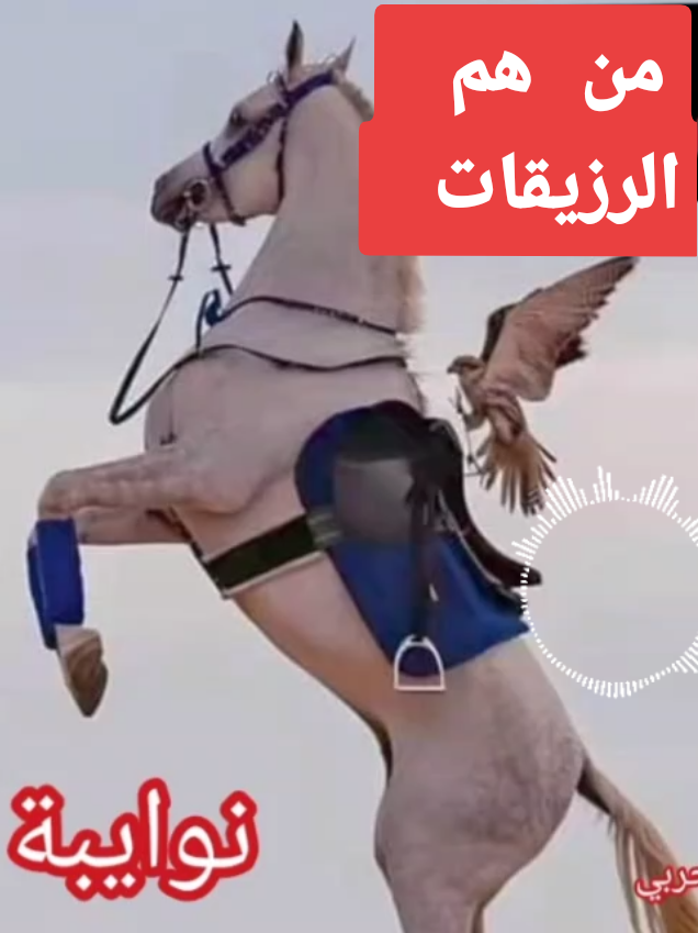من هم الرزيقات _نوايبة _محاميد _ماهرية  #الضعين_عاصمة_الرزيقات_واصالة_راشد_الولاد #جنيديون🦅🔥❤️اولاد🔥✊️✊️ابوك🔥✌️🇸🇩🐅 #اولاد_جنيد_عطاوة_رزيقات_مسيريه_حوازمه #بني_هلبا_رزيقات_مسيرية_اولاد_راشد_تعايشة #هبانية_اولاد_راشد_اولاد_حميد_ميسير_بني #بادية_غرب_السودان_دارفور💪💪 #دارفور_بدو_العربان😍❤💯 #الشعب_الصيني_ماله_حل😂😂 