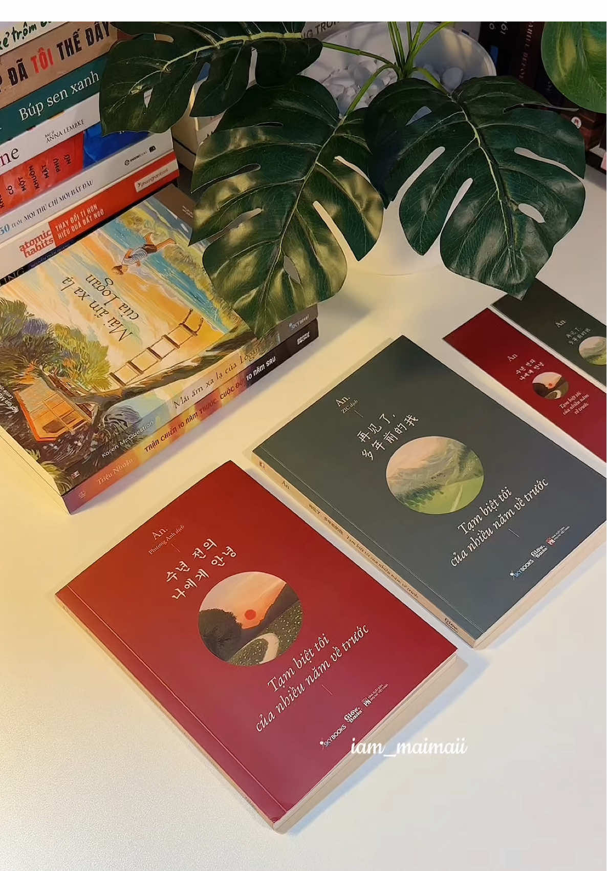 Tạm biệt tôi của nhiều năm về trước - Skybooks 📖 #BookTok #tambiettoicuanhieunamvetruoc #skybooks #trichdansach #iam_maimaii ♥️📚