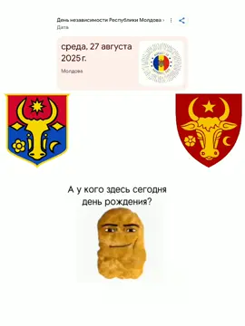 Всех поздравляю с днём независимости Молдовы🎉🎉🎉🎉 #moldova🇲🇩 #независимость #independenceday #independence #fyp 