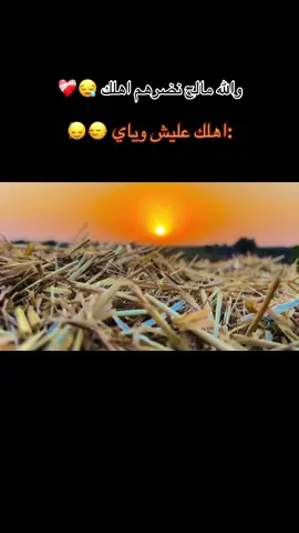 والله مالح نضرهم اهلك  ..  اهلك عليش وياي #حبكم ❤💔🍂🥀🥀 نموت ما نضل                           #تصويري_احترافي_الاجواء👌🏻🕊😴  #تصويري_احترافي_الاجواء👌🏻🕊😴 # #تصويري_احترافي_الاجواء👌🏻🕊😴                #تصويري_احترافي_الاجواء👌🏻🕊😴 