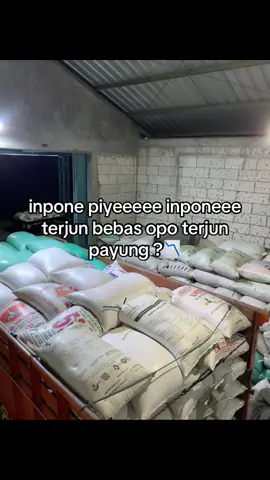 marai sirah posengg#putra_pertama🌽 #bismillahbosmuda🤲 #petaniindonesia🇮🇩🇮🇩🇮🇩🌿🌿 #🌾🌽 #foryoupage 