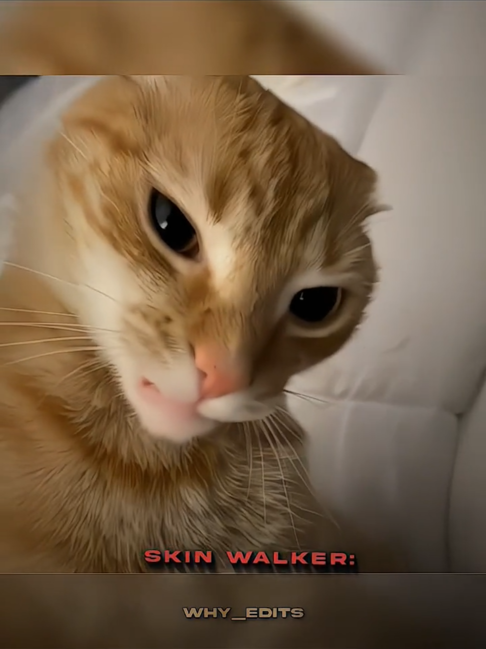 Skin Walker ☠️ | TONIGHT YOU BELONG TO ME FUNK #skinwalker #edit #funk #phonk #troll 