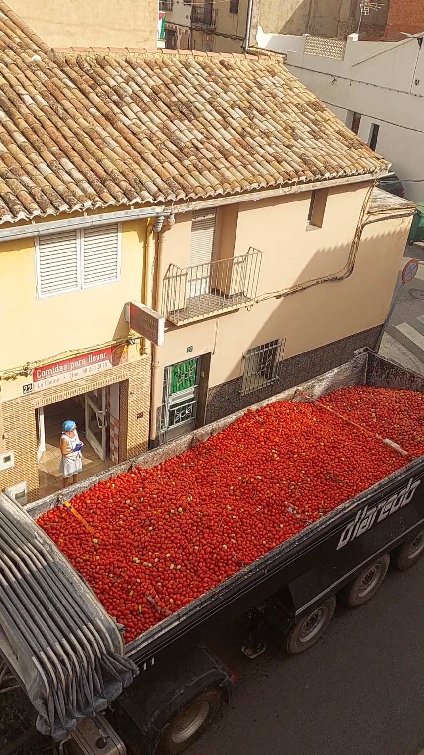 Prmera vista camiones ... TOMATINA 2025 Buñol .🍅🍅🍅🍅 #buñol #subidon #emocion #❤❤  #tomatina #2025 #6 #camiones 