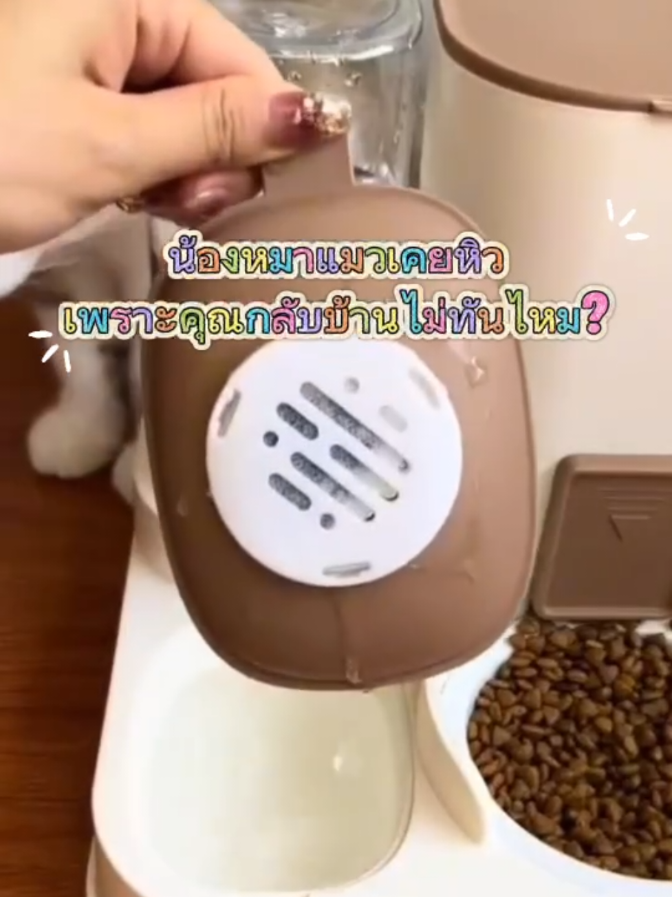 น้องหมาแมวเคยหิวเพราะคุณกลับบ้านไม่ทันไหม? #เครื่องให้น้ำและอาหาร #เครื่องให้อาหารสัตว์เลี้ยง #เครื่องให้อาหารสัตว์อัตโนมัติ #ที่ใส่อาหารสัตว์เลี้ยง #ที่ให้น้ำและอาหาร 